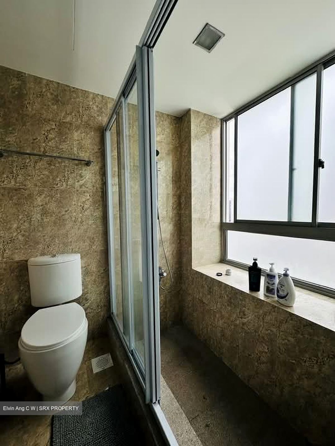 The Lakeshore (D22), Condominium #535633721